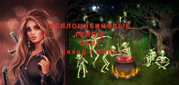 мяу мяу мука Абаза