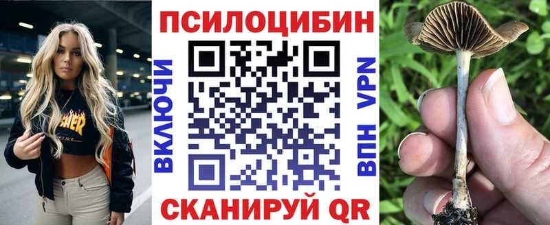Псилоцибиновые грибы MAGIC MUSHROOMS  как найти   Электросталь 